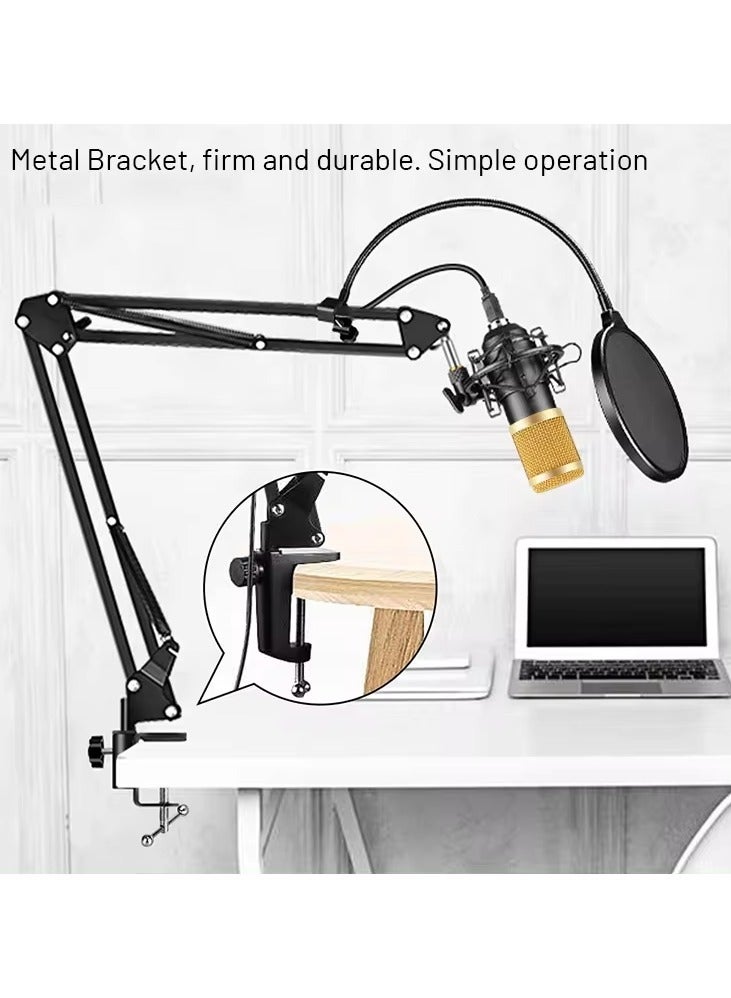 Legendary Live Broadcast Microphone, Set Condenser Computer Audio/KTV 3.5mm Wired Sound Recording Condenser Microphone MIC V8 Sound Card with KIT - Image 2