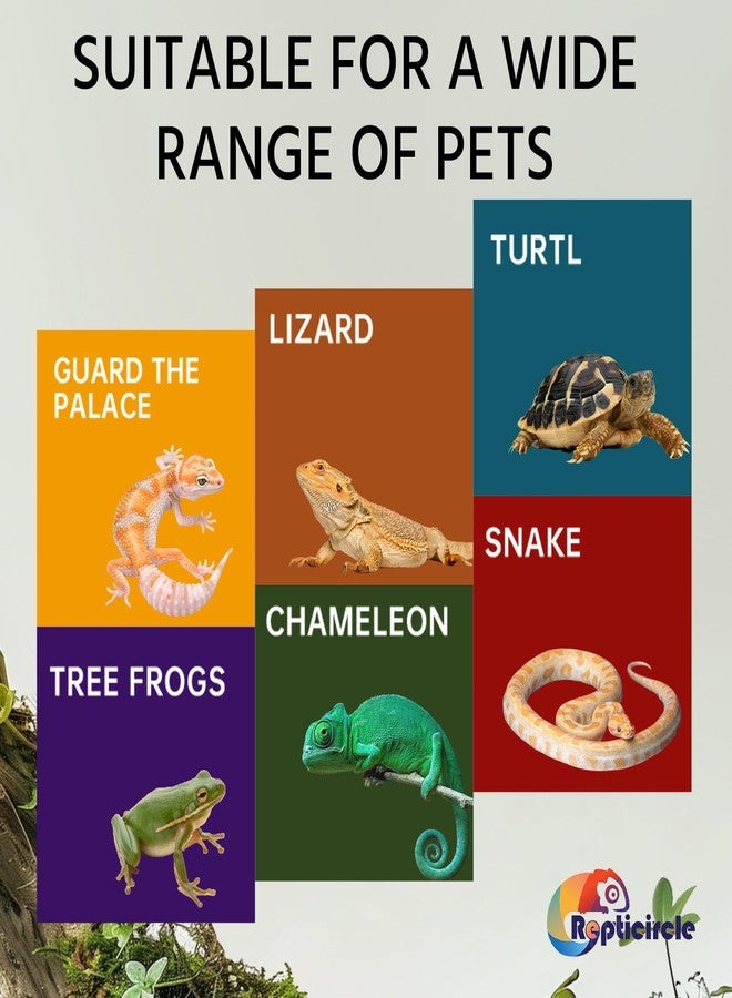 Repticircle Resin Reptile Hideout Cave,Natural Habitat Decor for Bearded Dragon, Leopard Gecko, Lizards & Turtles,Terrarium Tank Accessories,A - Large - Image 3