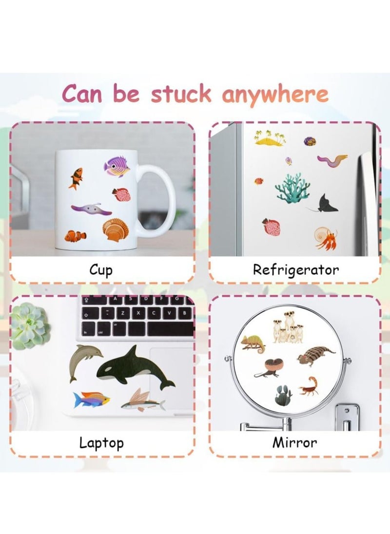 Y&D - Sticker Books, KASTWAVE 2Pcs Reusable Book Learning Toys for 2 to 6 Years Old Boys Girls, Deep Sea Kingdom and Animal World Books Toddler Educational Toy - Image 1