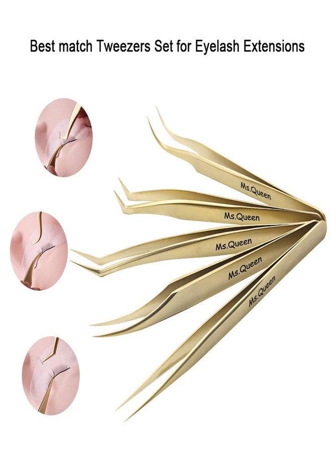 Ms.Queen Eyelash Extension Tweezers-Precision Tweezers for 2D-6D Volume&Individual False Lashes Extensions-Golden-5pcs Tweezers Set - Image 2