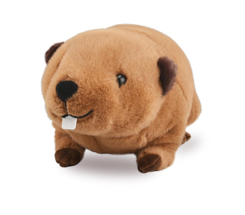 YONLIT Lifelike Beaver Stuffed Animal with Big Front Teeth Animated Plush Nutria Toy Doll Super Realistic Beaver Act Like Real Excellent Gifts for Kids Birthday Party or Stuff Collection 12 Inches Small - Image 3