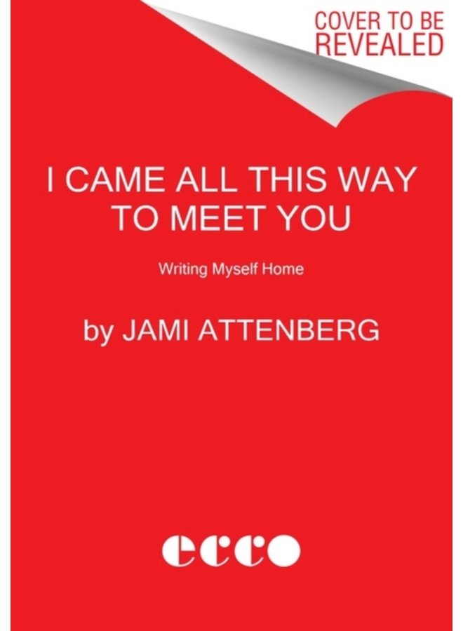 I Came All This Way to Meet You Writing Myself Home - Paperback