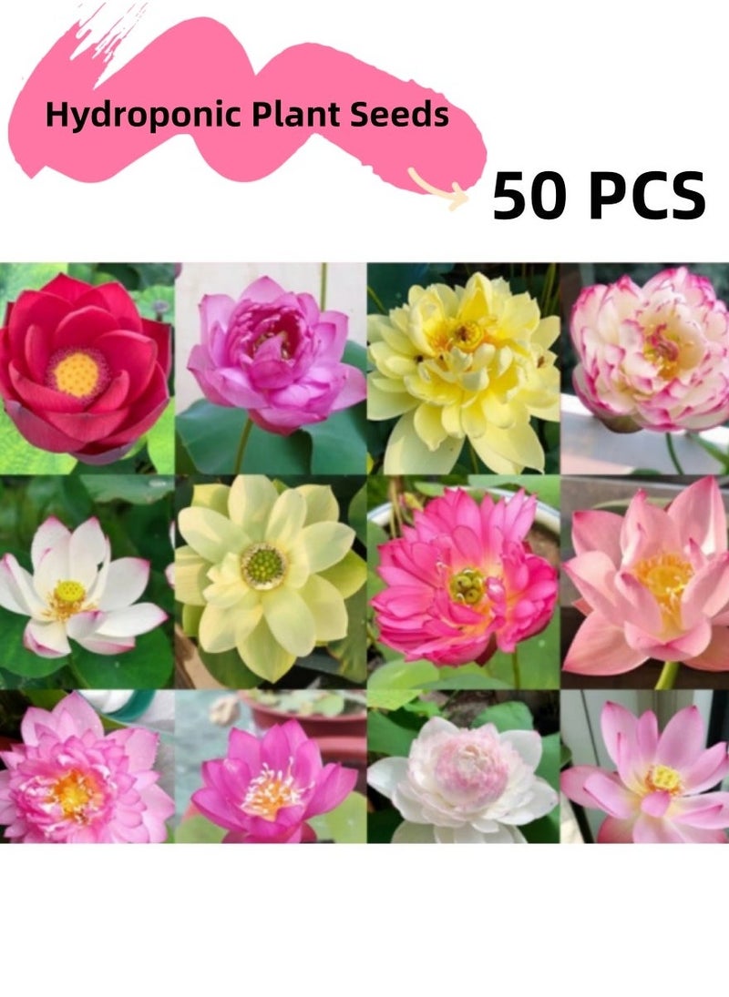 Generic 50 Pcs Mixed Bonsai Lotus Flower Seeds Mixed Color Water Lily Flower Plant Fresh Garden Seeds,for Growing Seeds in The Garden - Image 1
