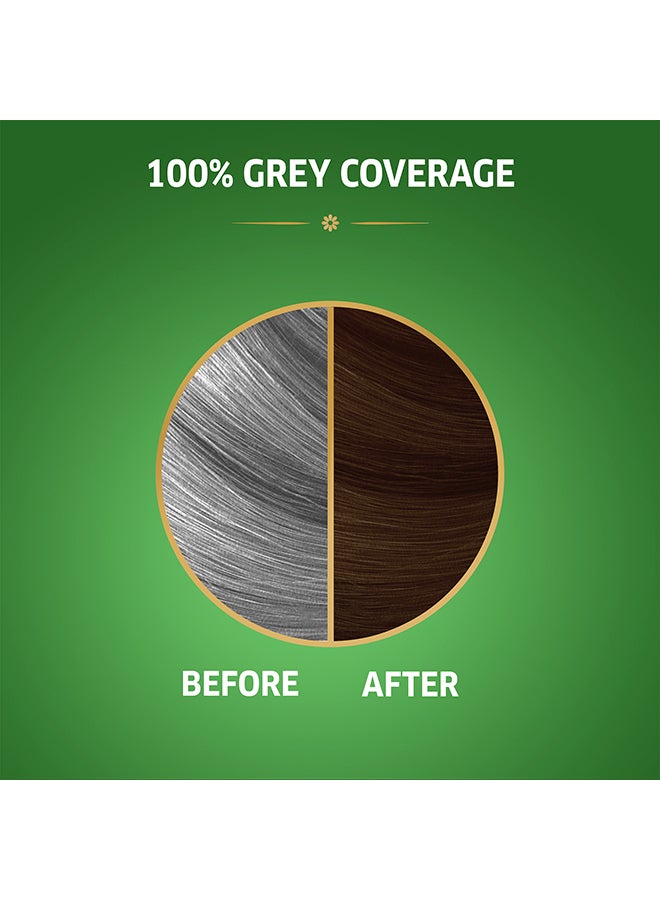 WELLA Koleston Naturals Hair Color 6/7 Chocolate Brown 50+50+10ml - Image 3