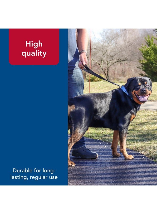 كوستال مقود مرور مزدوج الطبقات للكلاب من Coastal Pet - مقود مرور متين وقصير لتدريب الكلاب - مثالي لزيارة الطبيب البيطري - أسود، 1 بوصة × 24 بوصة - Image 5