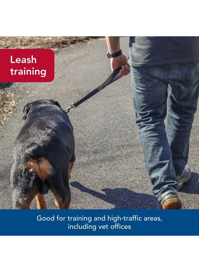 كوستال مقود مرور مزدوج الطبقات للكلاب من Coastal Pet - مقود مرور متين وقصير لتدريب الكلاب - مثالي لزيارة الطبيب البيطري - أسود، 1 بوصة × 24 بوصة - Image 4