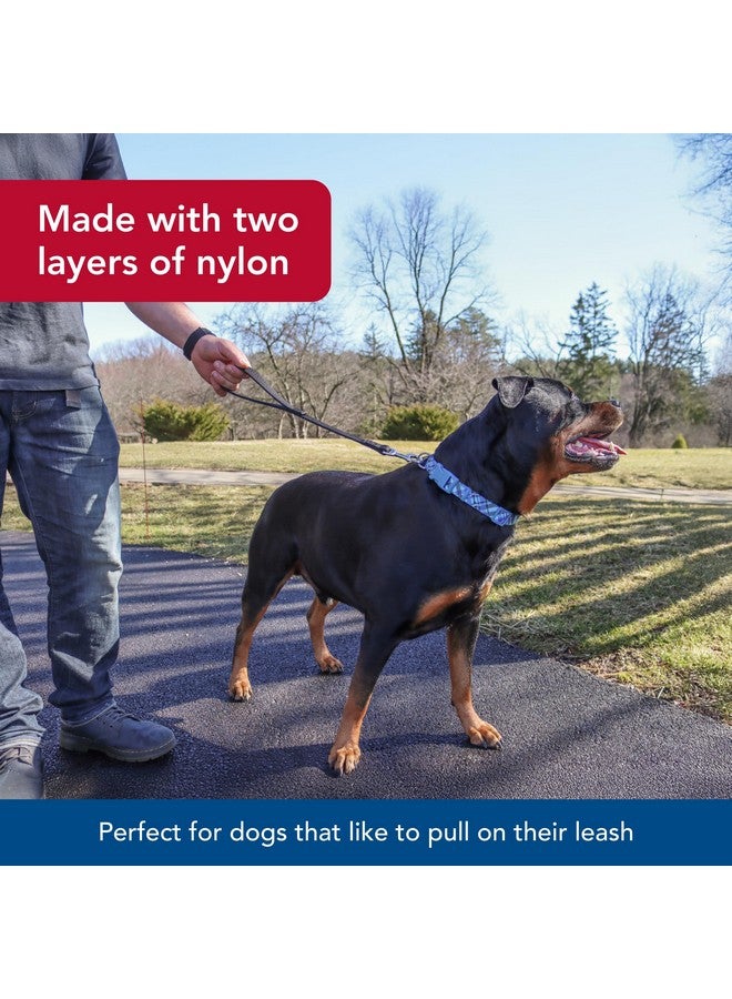 كوستال مقود مرور مزدوج الطبقات للكلاب من Coastal Pet - مقود مرور متين وقصير لتدريب الكلاب - مثالي لزيارة الطبيب البيطري - أسود، 1 بوصة × 24 بوصة - Image 3