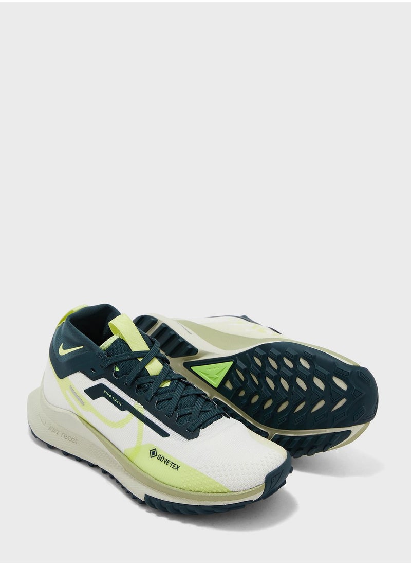 Nike - Pegasus Trail 4 Gore-Tex - Image 1