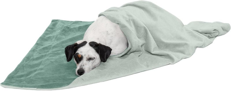 Waterproof Throw Blanket for Dogs & Indoor Cats, Washable - Two-Tone Luxe Velvet Dog Blanket - Celadon Green, Medium