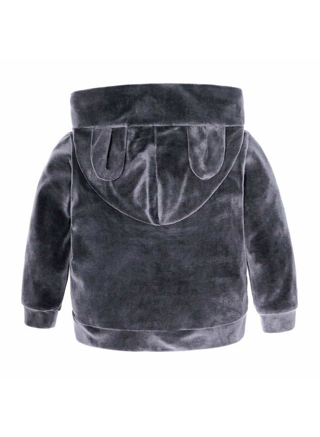 MYGBCPJS 2Pcs Fashion Toddler Baby Girl Velvet Sweatshirt Tops Pant Set Tracksuit, Hooded 2 Gray, 3-4 Years - Image 2