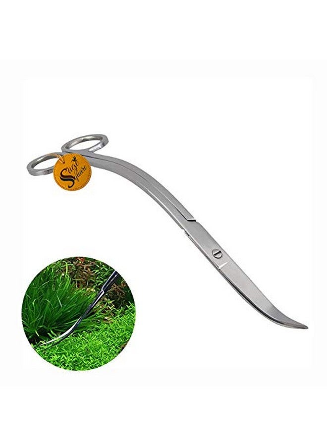 Sage Square Jumbo Size Professional Aquarium Tongs Scissor Long Stainless Steel Scissor Tool for Fish Tank, Aquatic Plant Cleaning (Wave & Curve) - Image 5