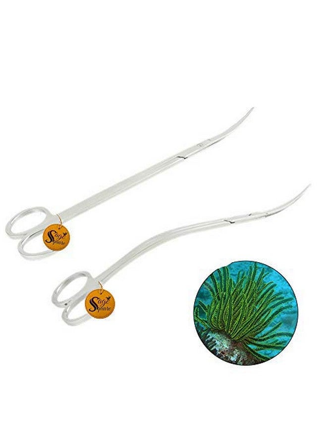 Sage Square Jumbo Size Professional Aquarium Tongs Scissor Long Stainless Steel Scissor Tool for Fish Tank, Aquatic Plant Cleaning (Wave & Curve) - Image 1