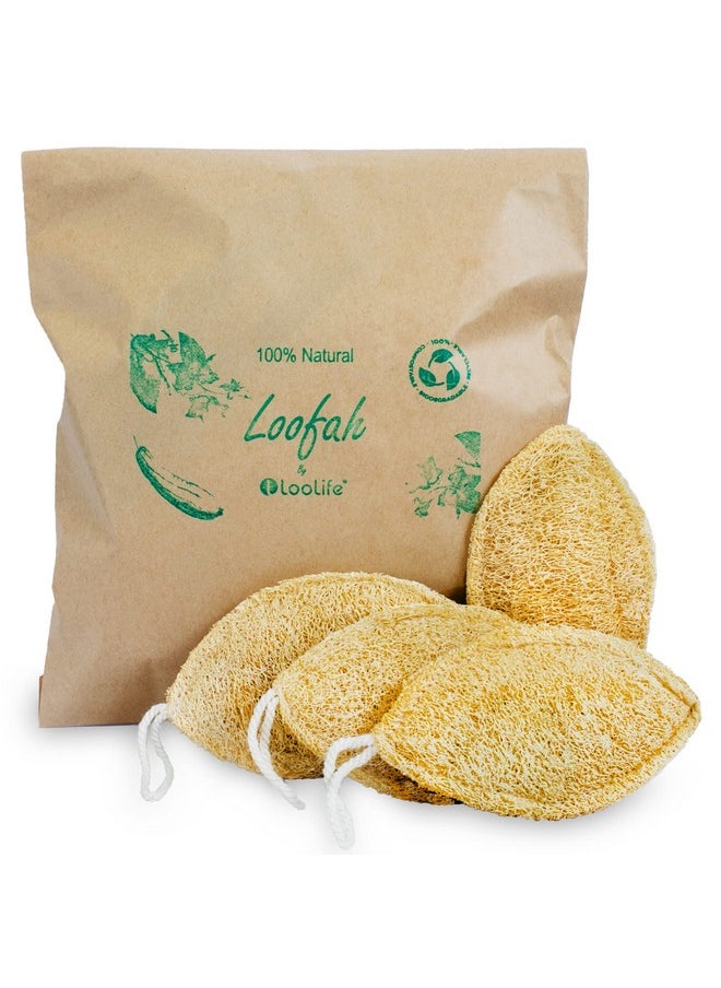 LooLife - Natural Loofah Sponge (4 Pack) Loofah Exfoliating Body Scrubber Biodegradable Loofah Organic Natural Loofah Luffa Sponges Loofah Pad - Image 1