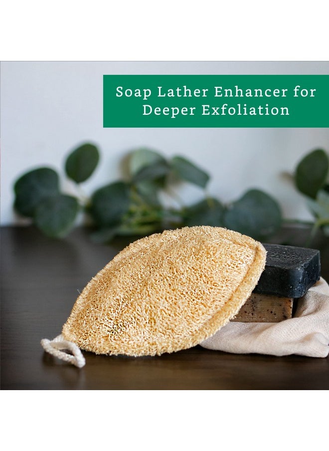 LooLife - Natural Loofah Sponge (4 Pack) Loofah Exfoliating Body Scrubber Biodegradable Loofah Organic Natural Loofah Luffa Sponges Loofah Pad - Image 1