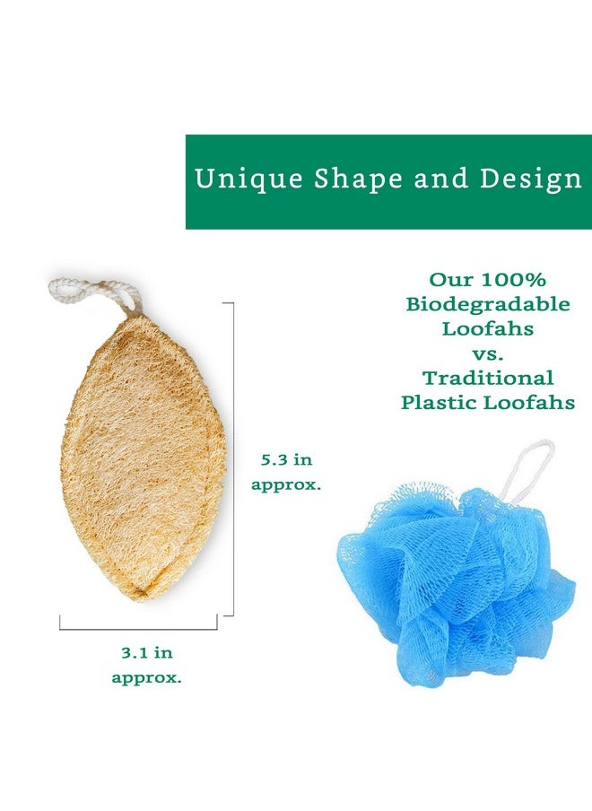 LooLife - Natural Loofah Sponge (4 Pack) Loofah Exfoliating Body Scrubber Biodegradable Loofah Organic Natural Loofah Luffa Sponges Loofah Pad - Image 1