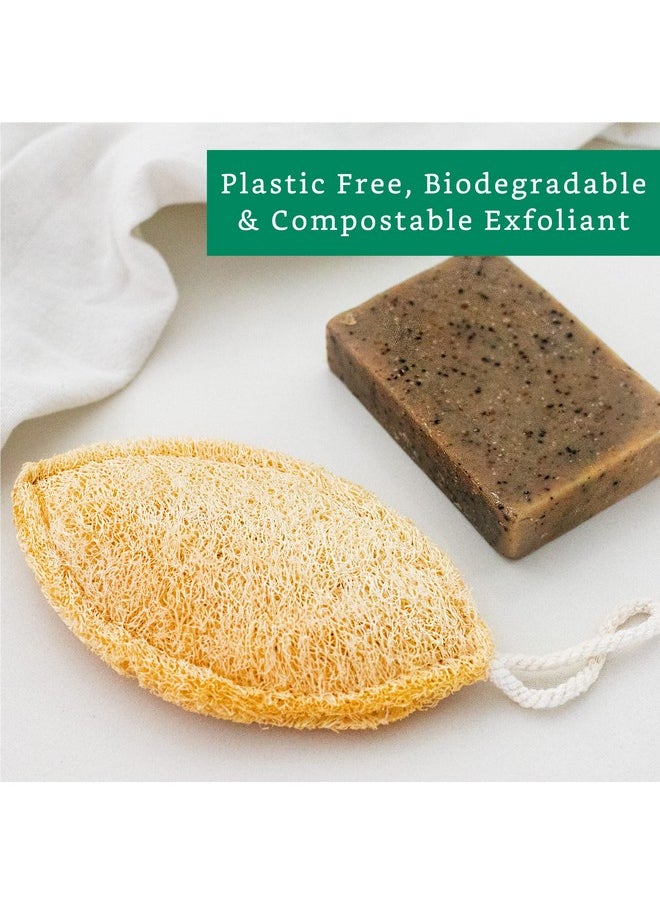 LooLife - Natural Loofah Sponge (4 Pack) Loofah Exfoliating Body Scrubber Biodegradable Loofah Organic Natural Loofah Luffa Sponges Loofah Pad - Image 1