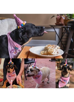PUPTECK Dog Birthday Bandana Scarf With Cute Doggy Party Hat, Costume Decorations Supplies For Small Medium Large Dogs Boy Girl Outfit Gifts, Pink  - Image 2