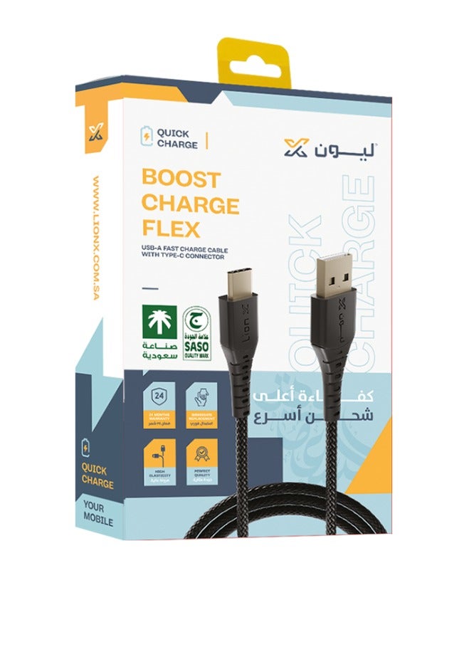 Lionx Lion X Type-C Fabric Charging Cable 2 Meters Long Supports Fast Charging - Image 1
