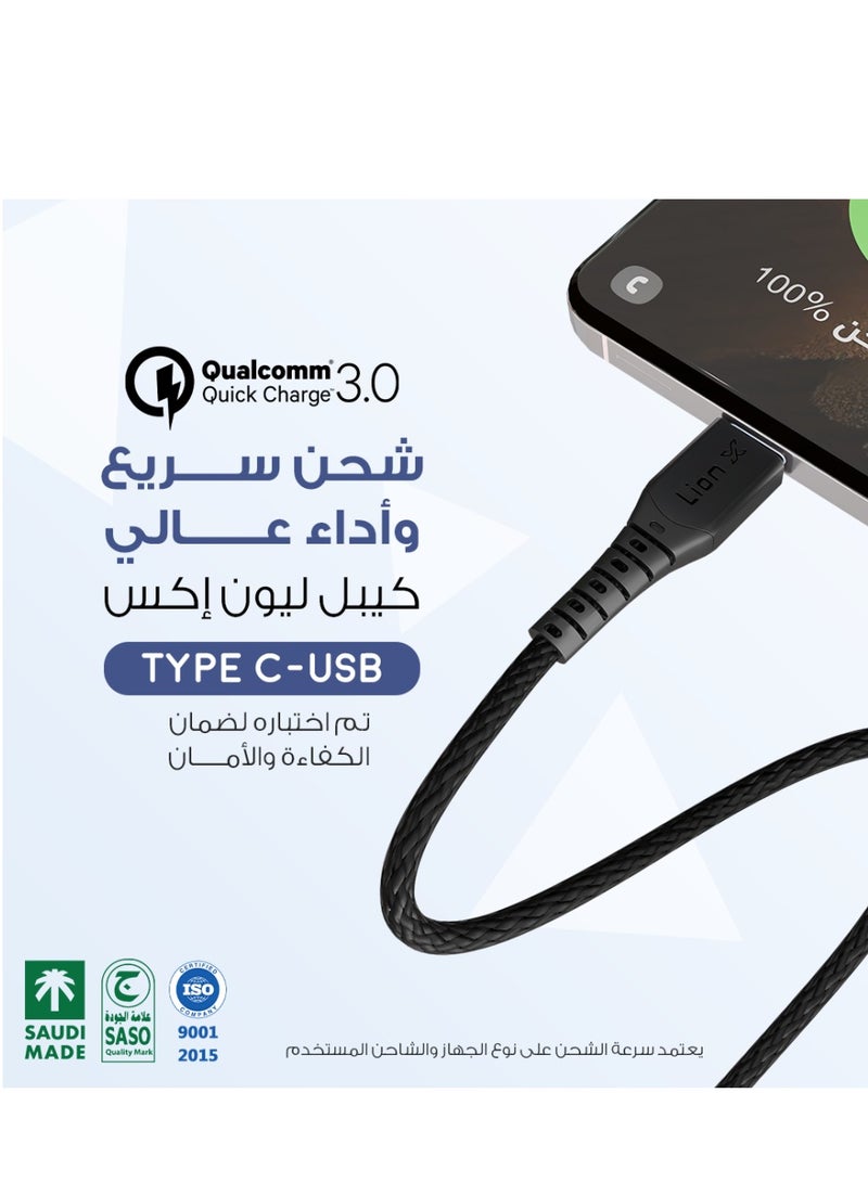 Lionx Lion X Type-C Fabric Charging Cable 2 Meters Long Supports Fast Charging - Image 3