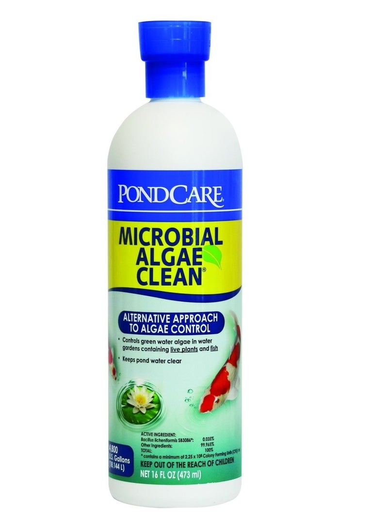 ايه بي آي منظف ​​الطحالب الميكروبية من API Pond، 16 أونصة
