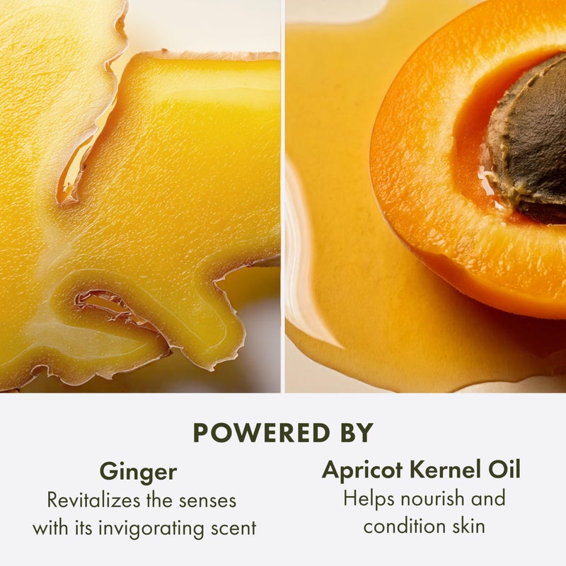 Origins كريم الجسم المخفوق من أوريجنز بالزنجبيل | لبشرة ناعمة كالحرير | مع الزنجبيل، 6.7 أونصة سائلة - Image 5
