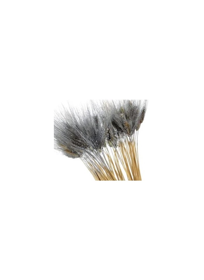 Generic Natural Dried Wheat Grass Bundle Artificial Wheat Dried Flowers  - Image 4