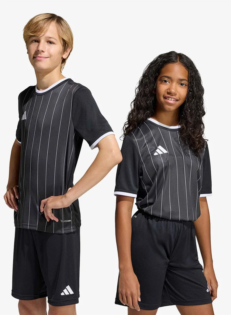 Adidas Youth Entrada26 Graphic Jersey