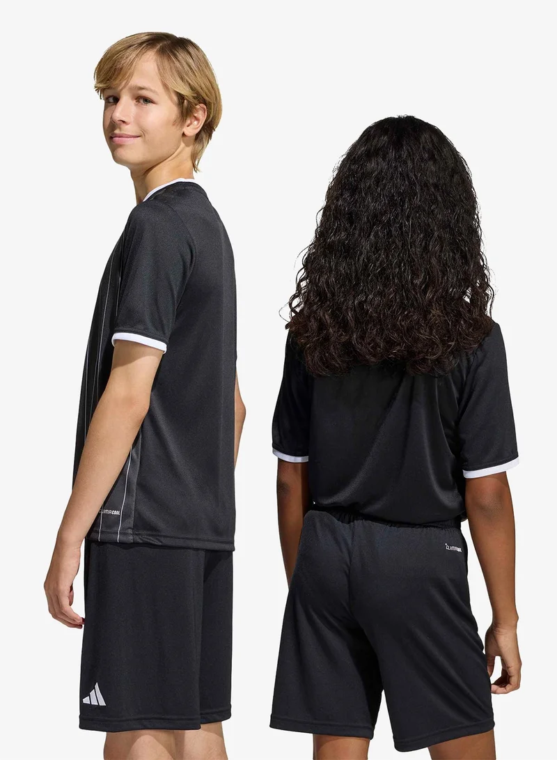Adidas Youth Entrada26 Graphic Jersey