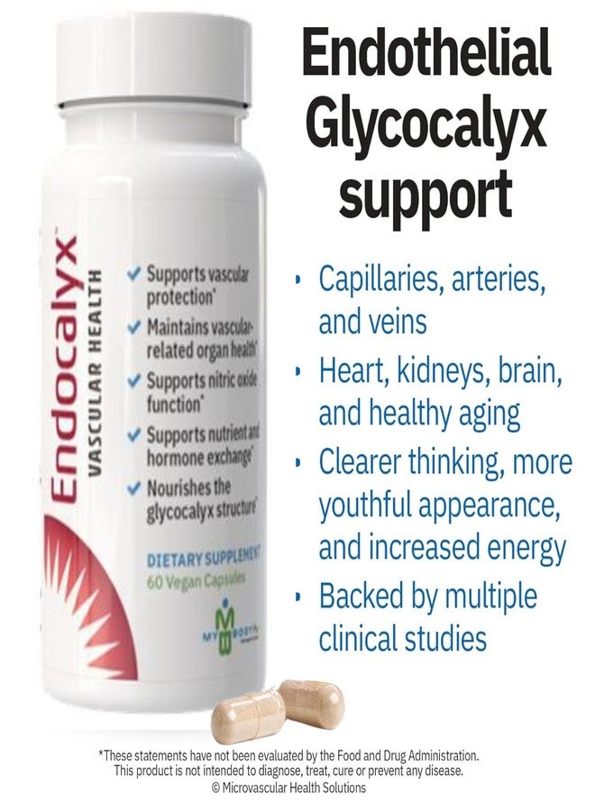MYBODYRX مكمل ماي بودي ريكس إندو كاليكس - دعم الغشاء السكري البطاني 60 كبسولة - صحة الأوعية الدموية والدورة الدموية الدقيقة - مدروس سريريًا - حاصل على براءة اختراع - يدعم وظائف أكسيد النيتريك - Image 2