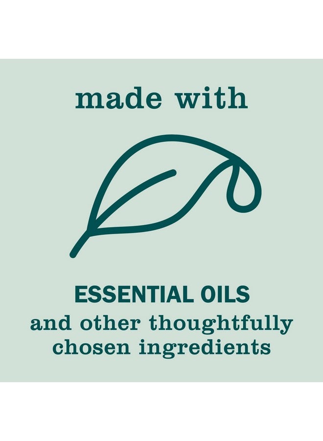 مسز مايرز كلين داي صابون لليدين، مصنوع من الزيوت العطرية، 12.5 أونصة، عبوة مكونة من 3 قطع - Image 5