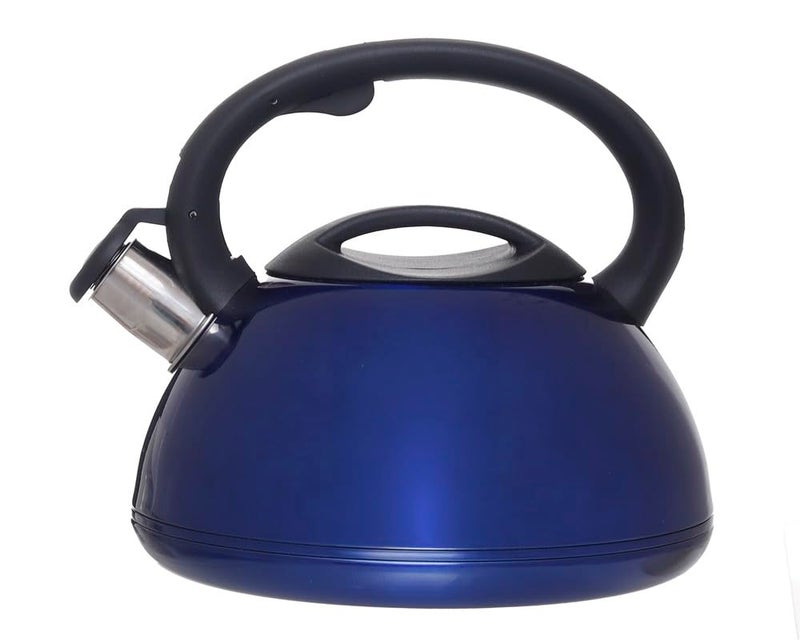 Whistling Tea Kettle for Stove 3 Liter Stainless Steel with Plastic Handle, Blue and Black - Image 1