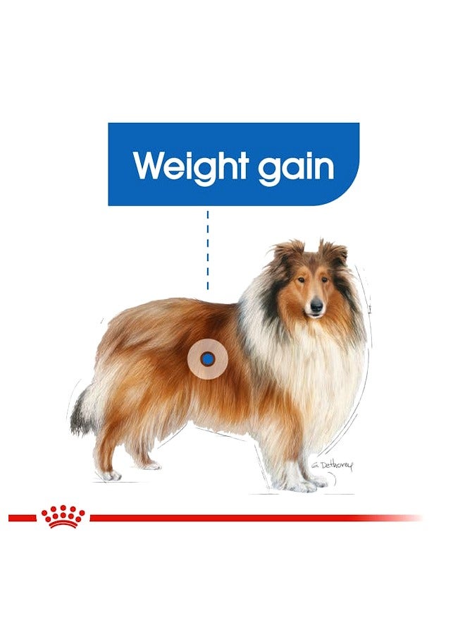 ROYAL CANIN Canine Care Maxi Light Weight Care - 12 KG - Image 3