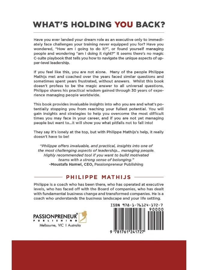 How not to be lonely at the top: Practical Wisdom for Positive Corporate Leadership and High-Performing Teams  - Image 2