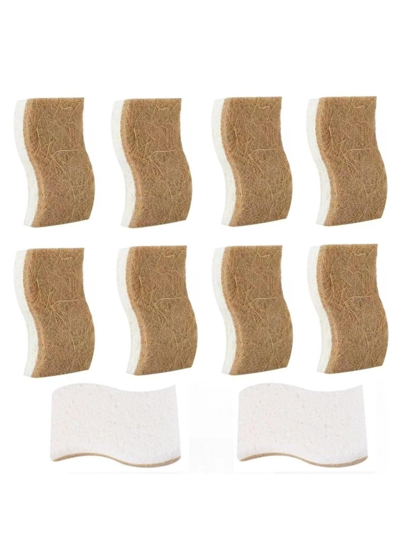 Loquat 10 Pcs Eco-Friendly Natural Cellulose Sponges for Kitchen Use - Image 1