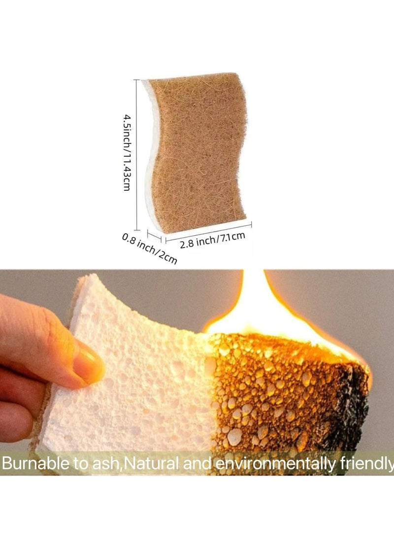 Loquat 10 Pcs Eco-Friendly Natural Cellulose Sponges for Kitchen Use - Image 4