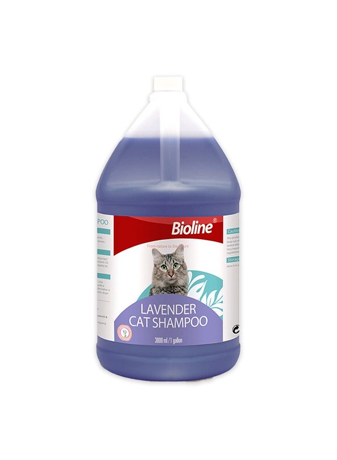 Bioline Lavender Cat Shampoo - 3.8L