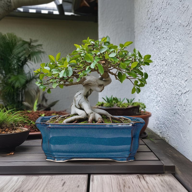Teagas Bonsai Tree Pot - 13.7 Inch Large Ceramic Succulent Planter for Indoor Outdoor, Rectangle Plant Pot with Drainage Hole, Decorative Flower Pots, Home Decor, Gifts for Plant Lovers, Retro Blue - Image 3