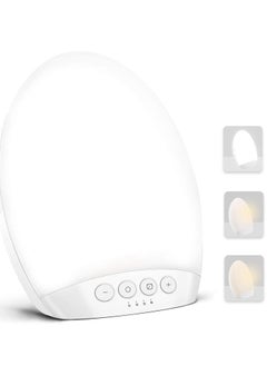 Light Therapy Lamp - 10000 Lux Light, 4 Timer & Mode Happy Lamp, White/Natural/Warm Lighting, 5 Adjustable Brightness Levels, Memory Function for a Life