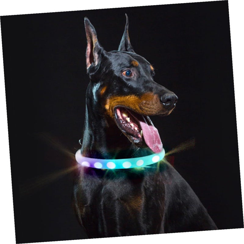 Luxshiny LED Pet Collar USB Rechargeable White Glowing Dog Collar Night Safety Flashing Luminous For Outdoor Walks - Image 5
