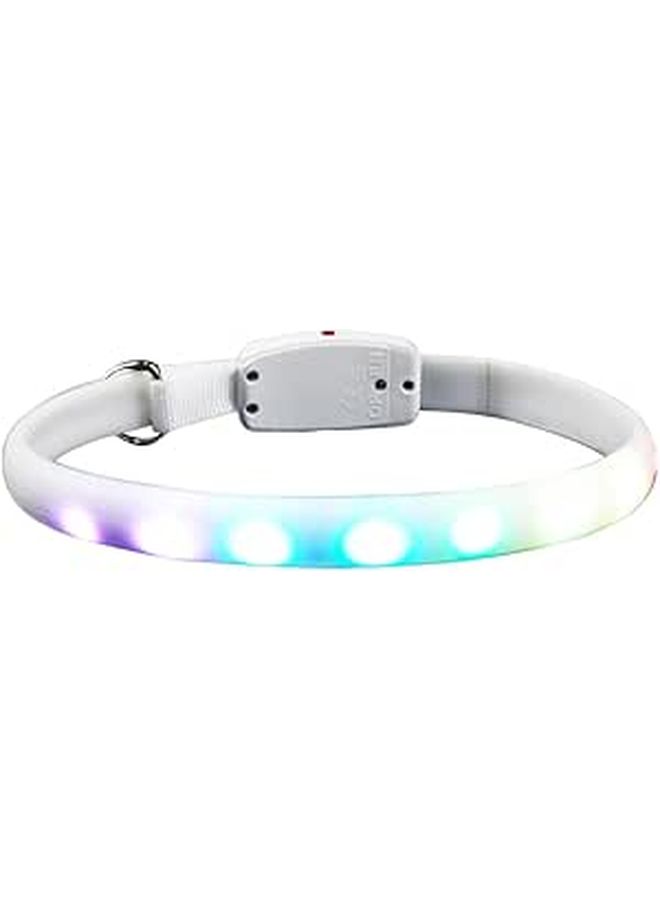 Luxshiny LED Pet Collar USB Rechargeable White Glowing Dog Collar Night Safety Flashing Luminous For Outdoor Walks - Image 1