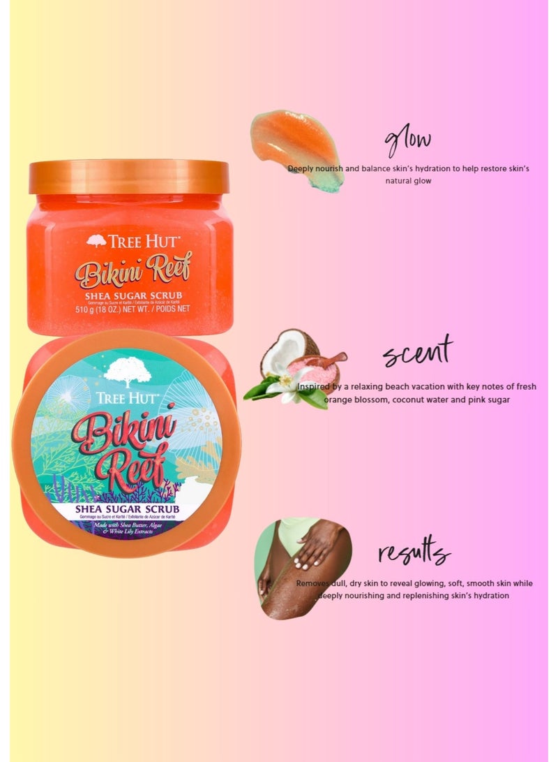 تري هت مقشر الجسم بيكيني ريف مع زبدة الشيا والسكر الطبيعي والزيوت العطرية | بشرة ناعمة ومتوهجة ورطبة | 510 جرام - Image 5