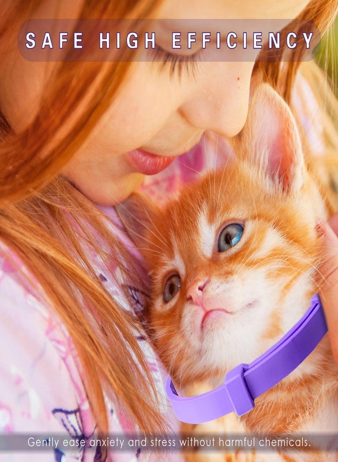 Simnice Calming Collar for Cats - 4 Pack, Cat Calming Collar, Adjustable Cat Pheromone Collars for Anxiety & Stress Relief, Efficient and Comfort (Purple) - Image 2