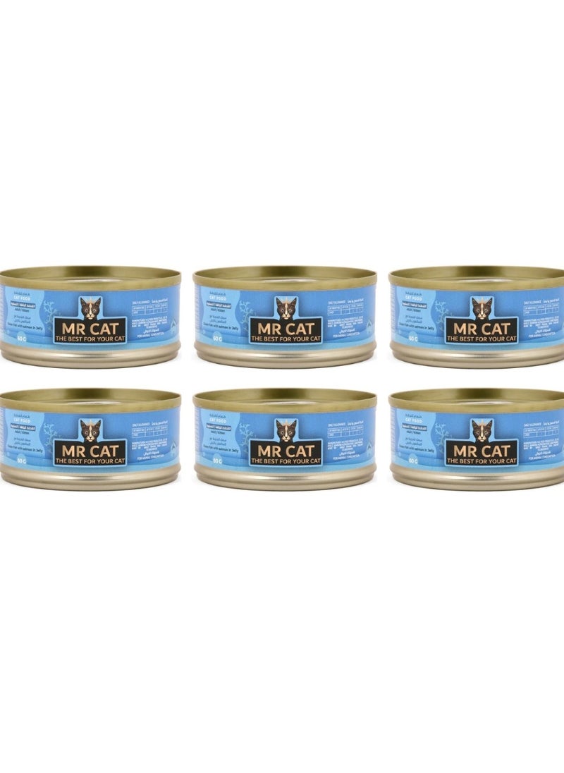 MR CAT Cat Adult And Kitten Wet Food Ocean Fish with Salmon in Jelly Flavor Pack Of 6  - Image 1