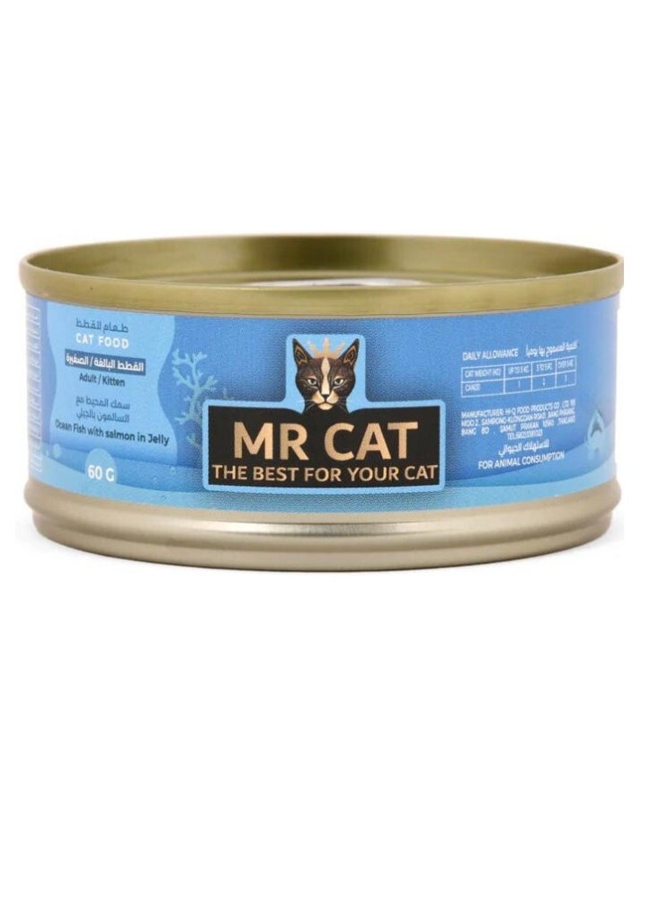 MR CAT Cat Adult And Kitten Wet Food Ocean Fish with Salmon in Jelly Flavor Pack Of 6  - Image 2