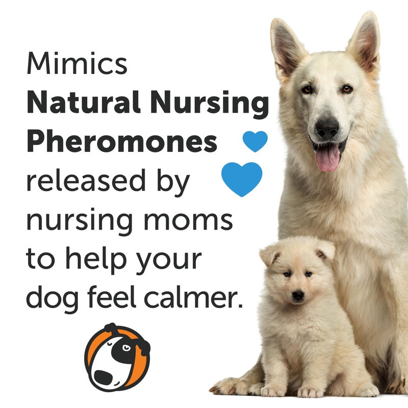 ThunderEase بخاخ فيرومون تهدئة الكلاب ثاندر إيز | مدعوم من أداكتيل | تقليل القلق أثناء السفر وزيارات الطبيب البيطري والإقامة - Image 3
