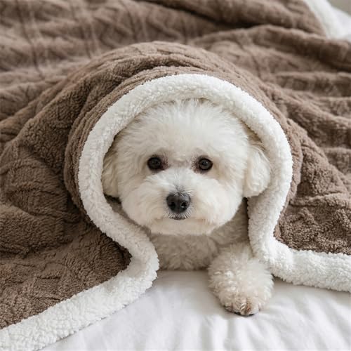 PAJEO Sherpa Blanket for Bed - Fleece Soft Cozy Fuzzy Blankets Thick Warm for Winter and All Seasons(Khaki,Full(80"x90")) - Image 3