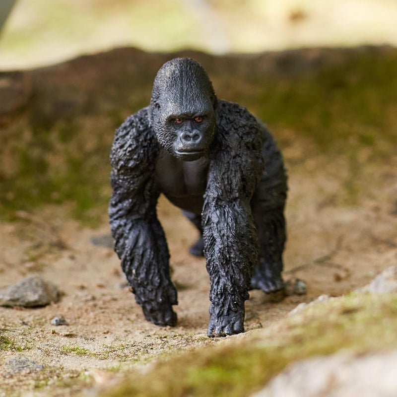 Schleich تمثال غوريلا ذكر واقعي من شلايش وايلد لايف - لعبة غوريلا ذكر مفصلة وأصلية للأطفال للبنين والبنات للتعليم والخيال واللعب، هدية متينة للغاية للأطفال من عمر 3 سنوات فما فوق - Image 5