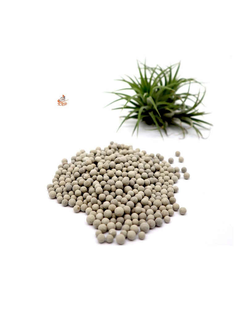 كنب ماجي كال جبس حبيبي 5 كجم - Image 3