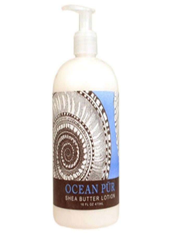 Greenwich Bay Ocean Pur Scented Lotion with Shea Butter - Luxury Spa Botanical Collection - Beautiful Packaging - 16 Ounce Each Bottle
