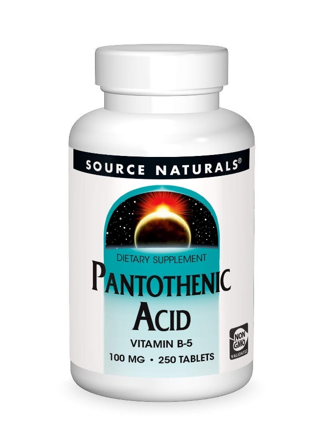 Source Naturals حمض البانتوثينيك 100 ملغ مكمل غذائي فيتامين ب-5 - 250 قرص - Image 1